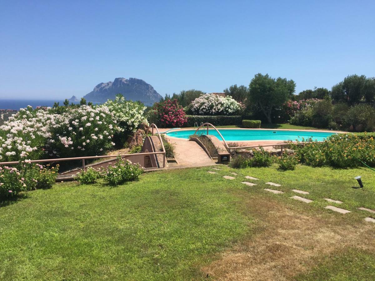 Villa Kate B&B Porto San Paolo  Eksteriør billede