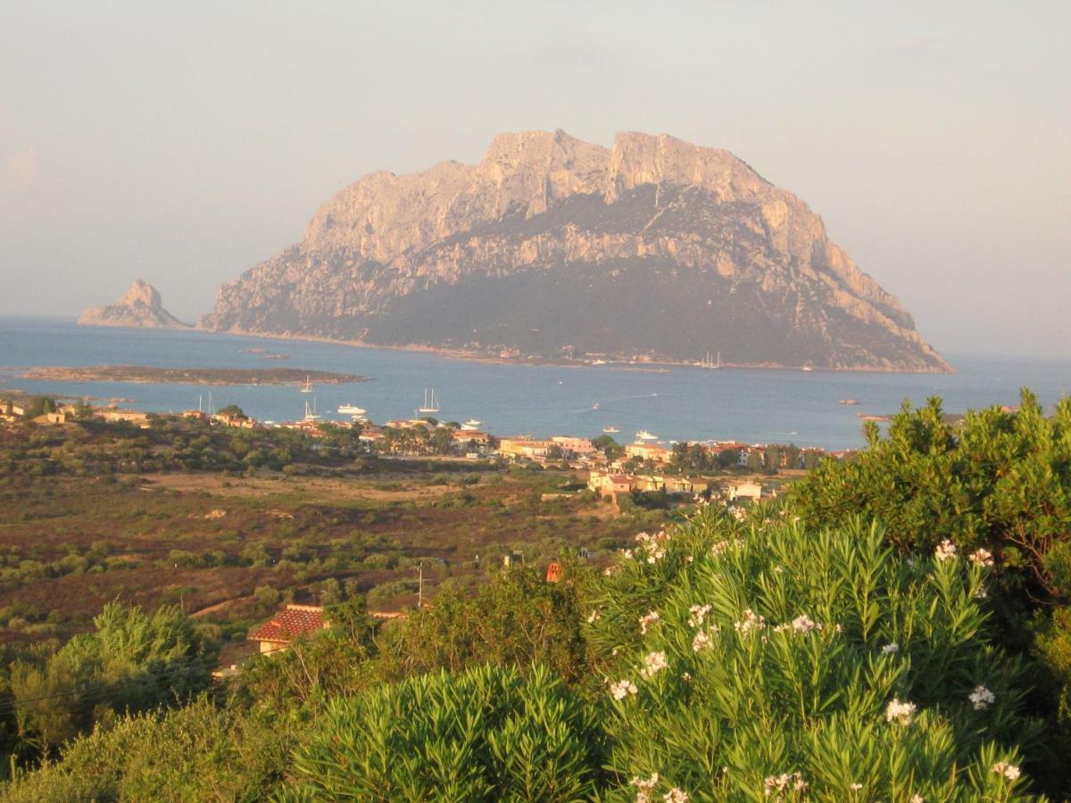 Villa Kate B&B Porto San Paolo  Eksteriør billede