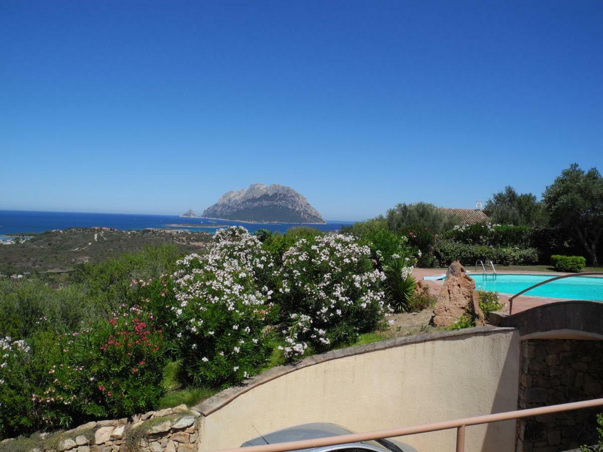 Villa Kate B&B Porto San Paolo  Eksteriør billede
