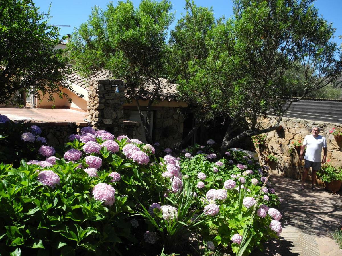 Villa Kate B&B Porto San Paolo  Eksteriør billede